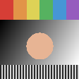 The neutral test chart: colour bars, a grey ramp, a skin-tone disc and a band of fine stripes.